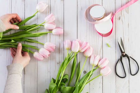 Step by step. Florist wrapping pink tulips in bouquet.の写真素材