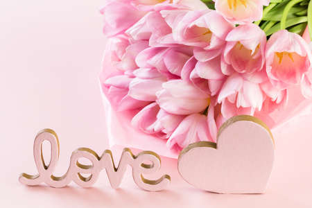 Light pink tulips on a pink background.の写真素材