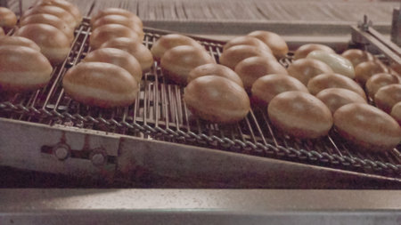 Industrial production of donuts by machine.