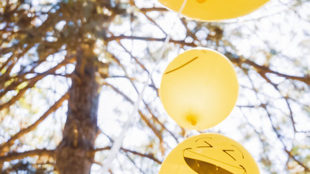 Yellow emoji balloons at little boy birthday party in the park.の写真素材
