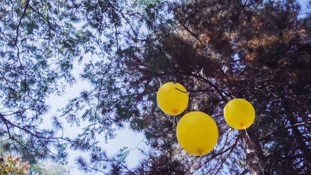 Yellow emoji balloons at little boy birthday party in the park.の写真素材