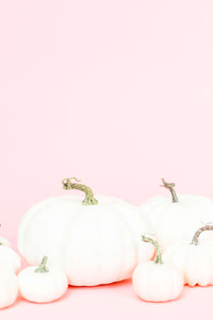 White craft pumpkins of different sizes on a pink background.の写真素材