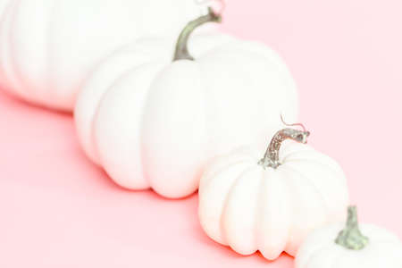 White craft pumpkins of different sizes on a pink background.の写真素材