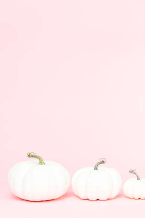 White craft pumpkins of different sizes on a pink background.の写真素材