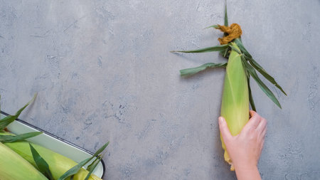 Shucking organic corn to make Mexican corn on the cob Elote.
