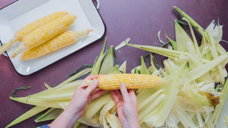 Step by step. Shucking fresh organic corn to make mexican corn salad.
