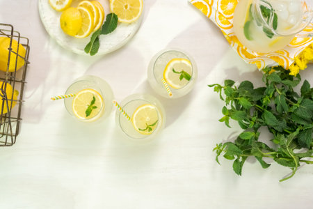 Fresh lemonade in a drinking glasses garnished with sliced of lemon and mint.の写真素材