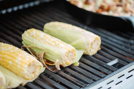 Step by step. Grilling fresh corn on outdoor gas grill.の写真素材