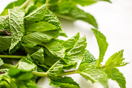 Fresh mint from organic farm on a white board.