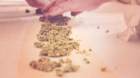 Making Italian raviolis from scratch at the Italian party.の写真素材