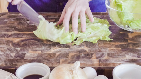 Slicing fresh organic vegetables for gourmet burger garnish.の写真素材