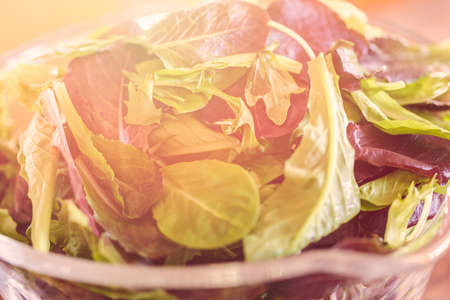 Preparing fresh salad with organic veggies.の写真素材
