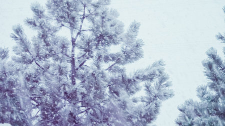 View of Spring snow storm from residential back porch.