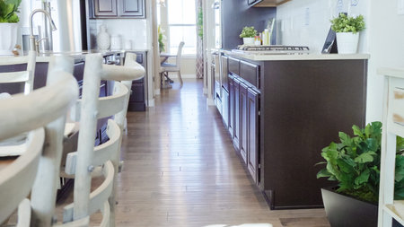Modern residential kitchen in luxury house.
