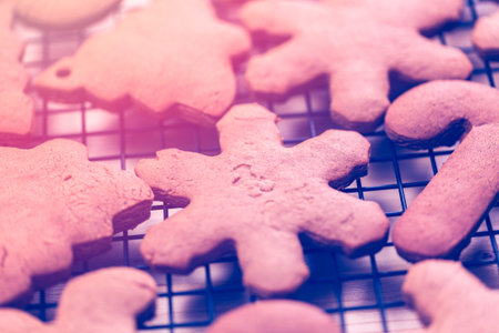 Baking gingerbread cookies for Christmas.