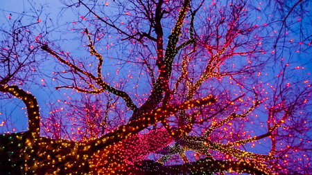 Old big tree decorated with yellow, orange, and red Christmas lights.