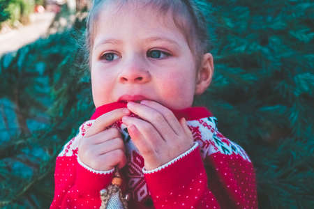 Little girl in red dress on Christmas tree farm.の写真素材