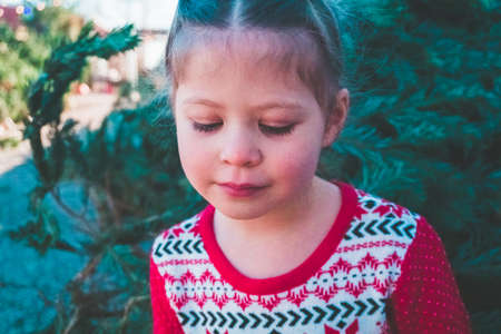 Little girl in red dress on Christmas tree farm.の写真素材