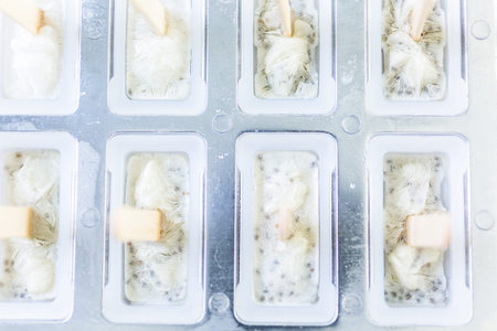 Homemade kiwi coconut chia popsicles in frozen ice pop maker.の写真素材