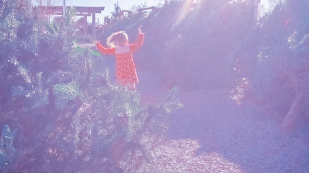 Little girl in red dress on Christmas tree farm.