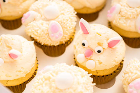 Easter bunny cupcakes in a white cupcake box.の写真素材