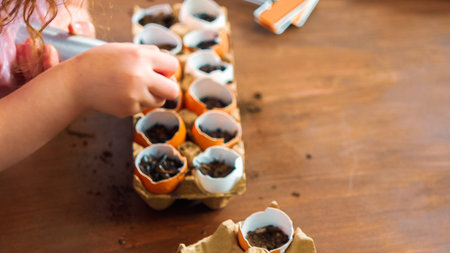 Mother and daughter starting seeds in eggshells for Spring planting.