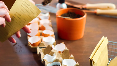 Mother and daughter starting seeds in eggshells for Spring planting.