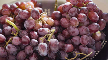 Washing red seedless grapes in stainless steel colander.の写真素材