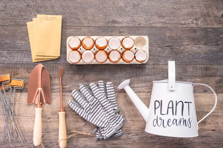 Flat lay. Plantings seeds in eggshells and labeling them with small plant tags.の写真素材