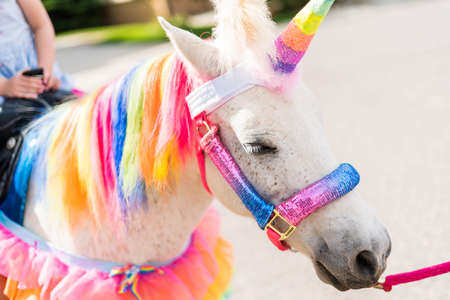 Little girl riding a unicorn at the little girl birthday party.の写真素材