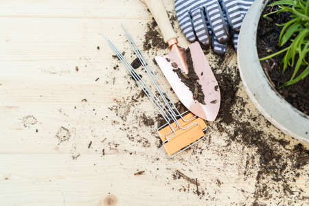 Small garden tools with some spilled soil on the wooden table.の写真素材