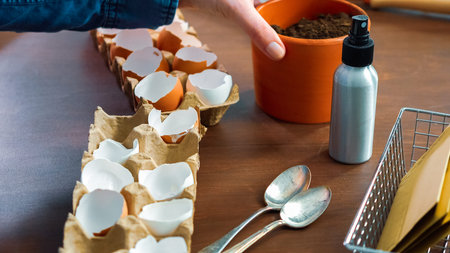 Mother and daughter starting seeds in eggshells for Spring planting.