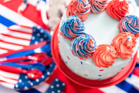 Cake, cookies, and fruit and vegetable snack tray at the July 4th celebration party.の写真素材