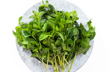 Flat lay. Fresh mint from the organic garden on a white background.の写真素材