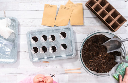 Flat lay. Planting seeds into coffee pods to start an indoor vegetable garden.