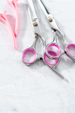 New barber pink scissors on a gray background.の写真素材