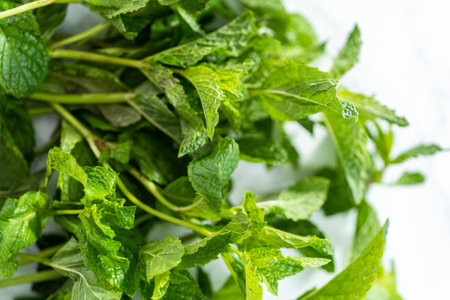 Fresh mint from the organic garden on a marble background.