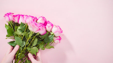 Flat lay. Fresh pink roses on a pink background.