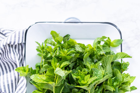 Fresh mint from the organic garden on a marble background.