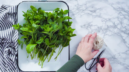 Flat lay. Bunch of fresh organic mint from the summer garden.