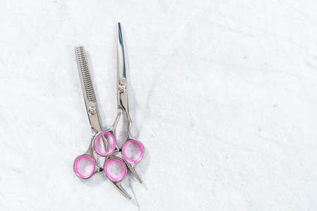 New barber pink scissors on a gray background.の写真素材