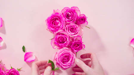 Flat lay. Fresh pink roses on a pink background.の写真素材