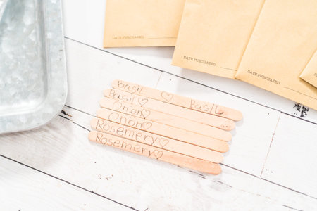 Planting seeds for indoor vegetable garden.の写真素材