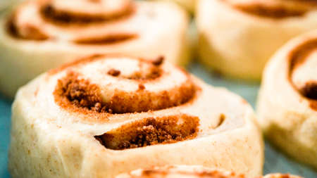 Unbaked cinnamon rolls in a blue baking pan.の写真素材