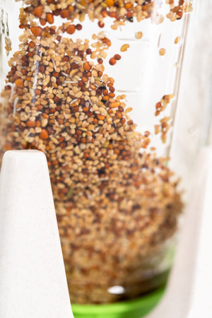 Day 3. Growing organic sprouts in a mason jar with sprouting lid on the kitchen counter.