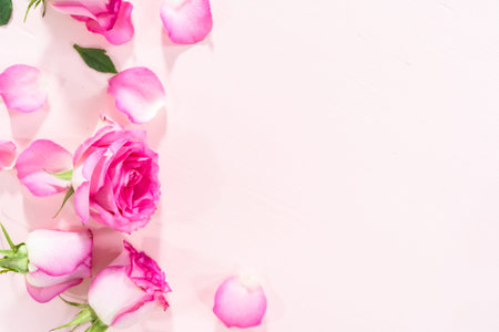 Flat lay. Pink roses and rose petals on a pink background.