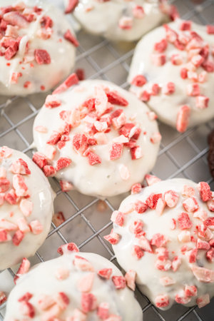 Dipping chocolate cookies into the melted white chocolate to prepare peppermint white chocolate...