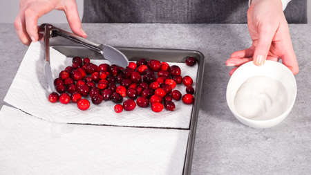 step by step. Prepating sugar cranberries with organic cranberries and white sugar.の写真素材