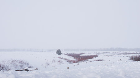 Field covered with snow at the Great Teton national park.の写真素材