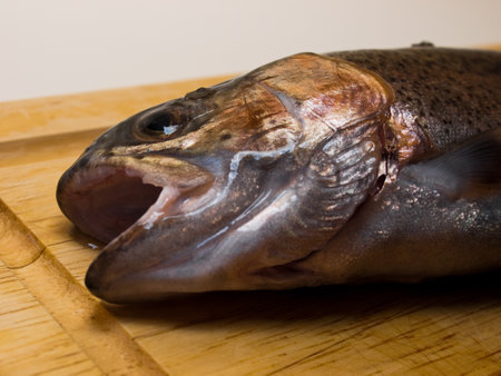 Fresh catched trout.の写真素材